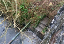 Calls for Ceredigion residents to report river pollution