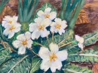 Art club members capture the first signs of spring