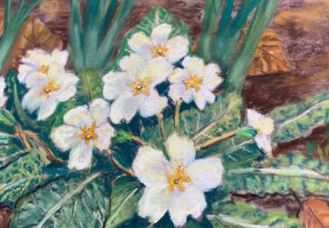 Art club members capture the first signs of spring
