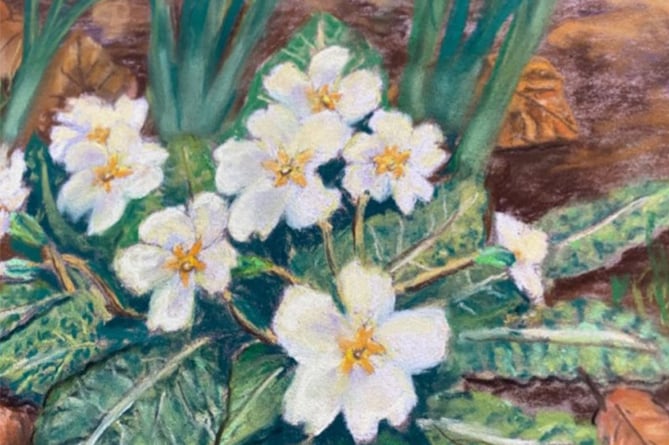 Ponterwyd Art 010323