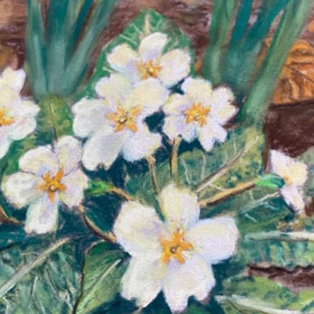 Ponterwyd Art 010323