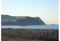 Warning to beach-goers as 53 discarded dog poo bags found  