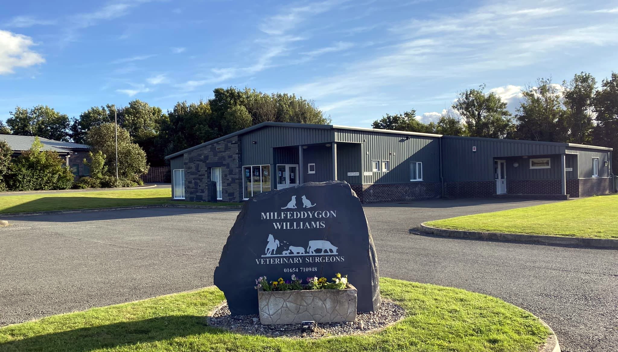 Toxic alert in Tywyn after dog death