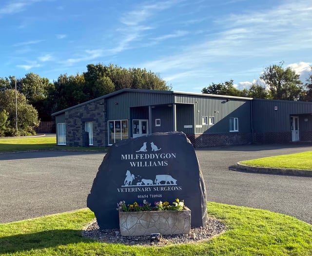 Dog death in Tywyn sparks toxic alert