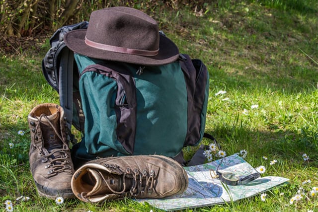 Explore the Dyfi Hills and Moel Dinas with Meirionnydd Ramblers