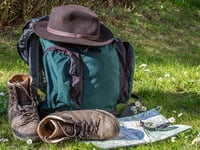 Tywyn snowdrops and café social for Meirionnydd Ramblers