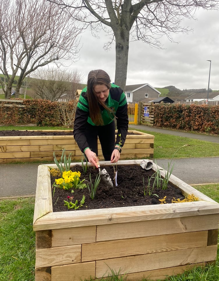 Amy planting the dogwood tree
