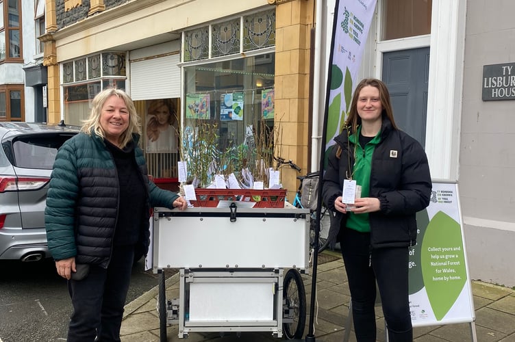 Kate Rolt, Volunteer for My Tree Our Forest at Eco Hub Aber Amy Jenkins and forward at Aberystwyth Town Women Football Club