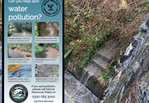 Pollution incidents spark action from authorities
