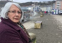 Pebbles, potholes and poo: Council 'failing to take action' on state of Aberystwyth