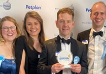 Williams named Vet Practice of the Year
