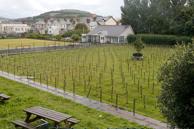 Aberystwyth rope maze