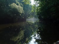 Ceredigion river and sea pollution among worst in Wales and England
