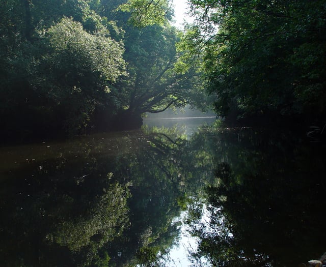 Ceredigion river and sea pollution among worst in Wales and England