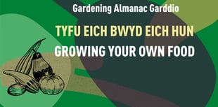 Your chance to share tips and tricks with fellow gardeners