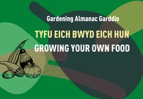 Your chance to share tips and tricks with fellow gardeners