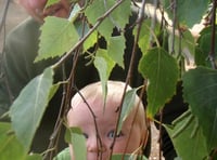 Scheme to boost local shopping and help wildlife