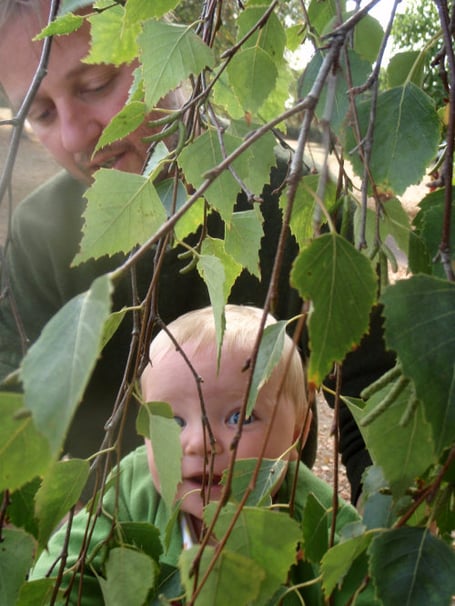 Treegeneration
