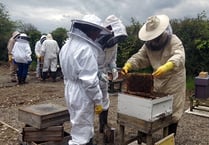 Teifiside beekeepers prepare for return of annual auction