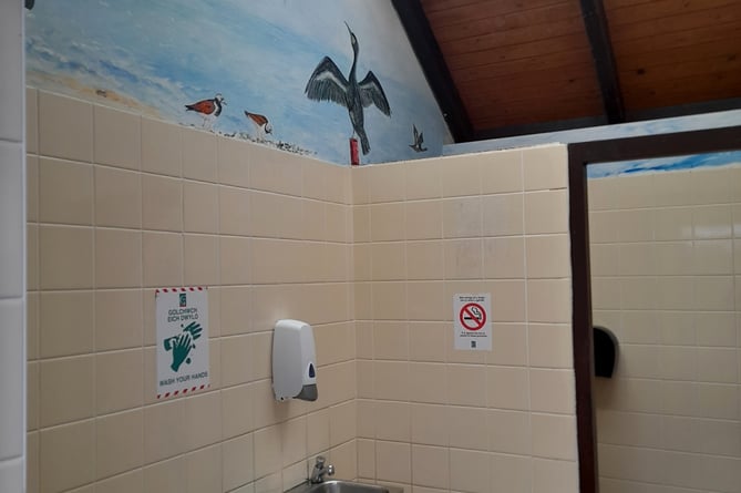 A cormorant can be seen in the mural at Llandanwg ladies' toilet