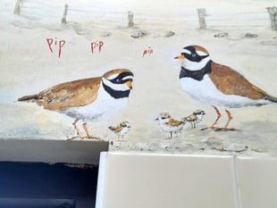 Loo with a view mural has serious wildlife message