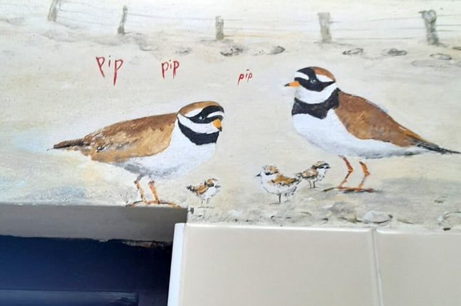 Detail of the birds at Llandanwg