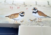 Loo with a view mural has serious wildlife message
