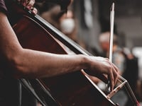 Sinfonia Cymru's talented musicians to hold free concerts across Wales