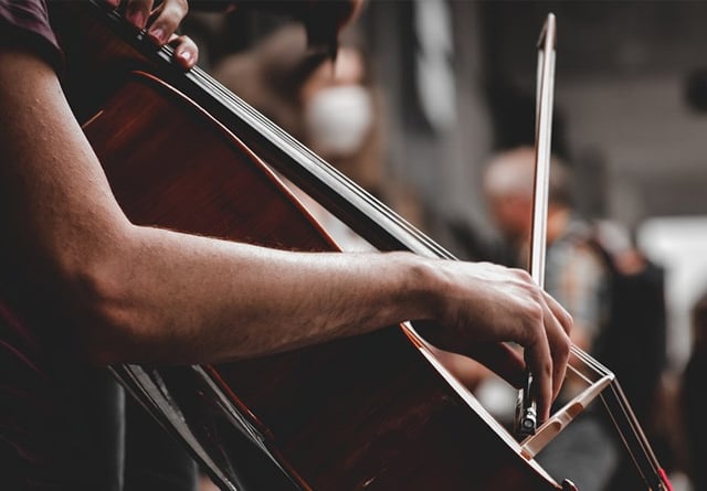 Sinfonia Cymru's talented musicians to hold free concerts across Wales