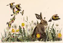 Yr Ysgwrn exhibition celebrates union of language and nature