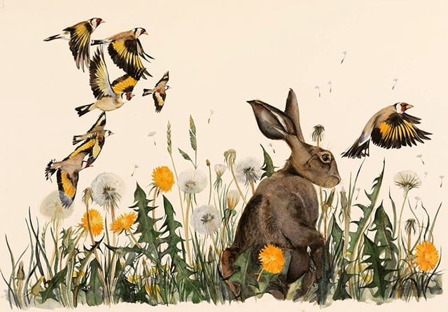 Yr Ysgwrn exhibition celebrates union of language and nature