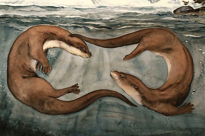 Otter by Jackie Morris
