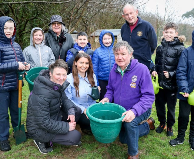 Pupils learning to grow own food thanks to grant