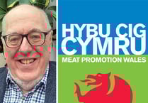 Aberystwyth professor appointed as Hybu Cig Cymru director
