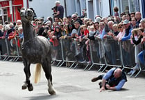 Woman injured after horse bolts at Barley Saturday