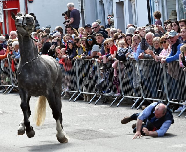 Woman injured after horse bolts at Barley Saturday