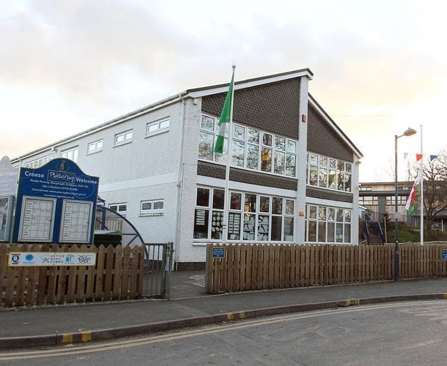 Council needs more time to review Plascrug Bridge plan response