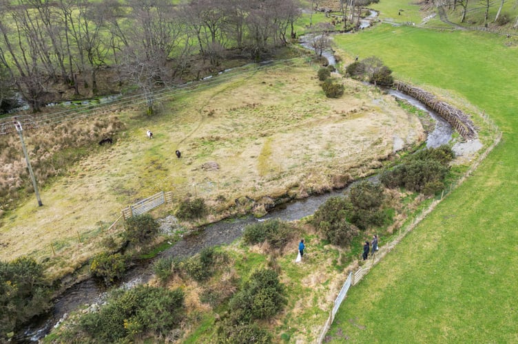 Tree planting along the Melindwr
