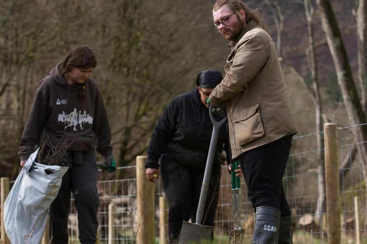 Volunteers planting