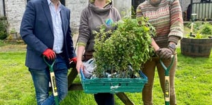 MP and MS plant trees in pub garden