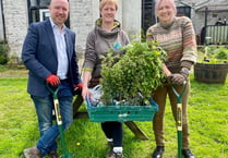 MP and MS plant trees in pub garden