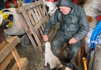 Farmer Wilf still the same despite starring role in film documentary