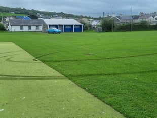 Anger as Aberaeron cricket club pitch vandalised by 'idiots'