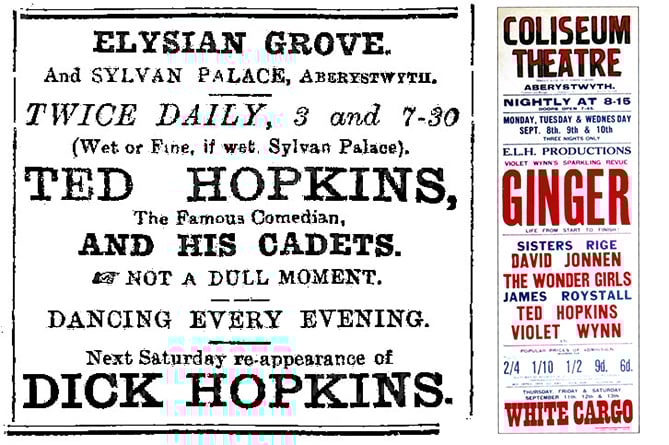 Ted Hopkins advert