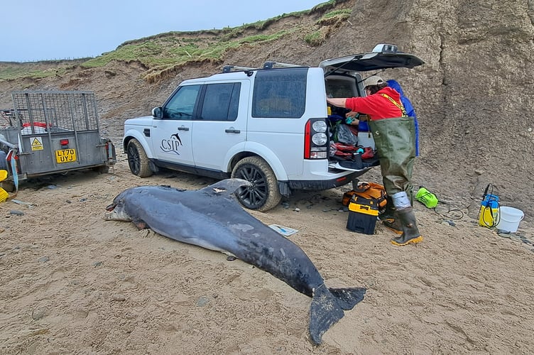 Vader being helped by Marine Environmental Monitoring