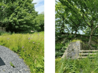 Public invited to unveiling of memorial