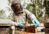 Honey farm embraces the buzz of World Bee Day