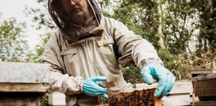 Honey farm embraces the buzz of World Bee Day