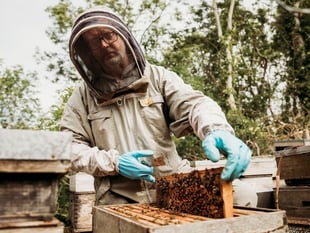 Honey farm embraces the buzz of World Bee Day