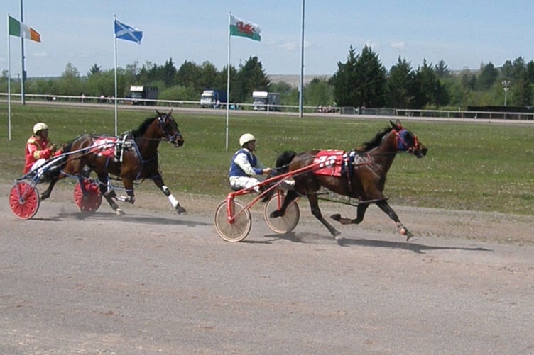 OLYMPUS DHarness Juicy Wiggle (Baby Novice) 130523